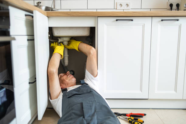 Best 24-Hour Plumber Near Me  in Roslyn, PA